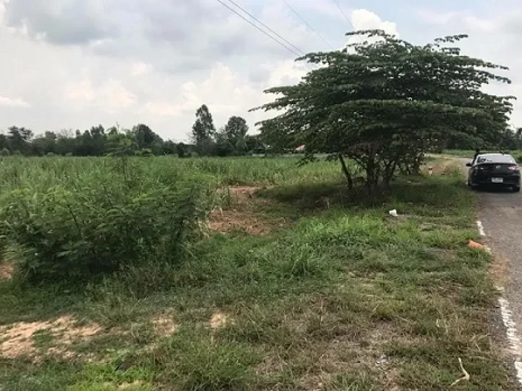 ขายที่ดินถนนมิตรภาพ อุดร-ขอนแก่น