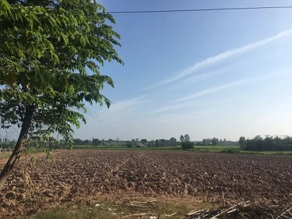 ขายที่ดินถนนมิตรภาพ อุดร-ขอนแก่น