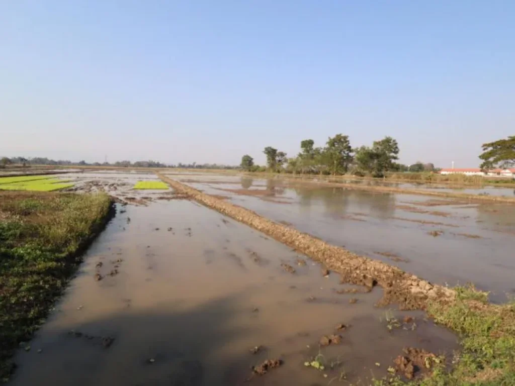 ขายที่ดินสำหรับการลงทุน จังหวัดเชียงราย 10 นาทีจากในเมือง