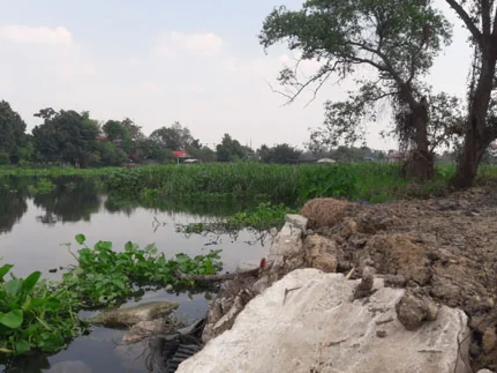 land that has been filled Next to the Tha Chin river70 meters beside the long canal3Entire along the land