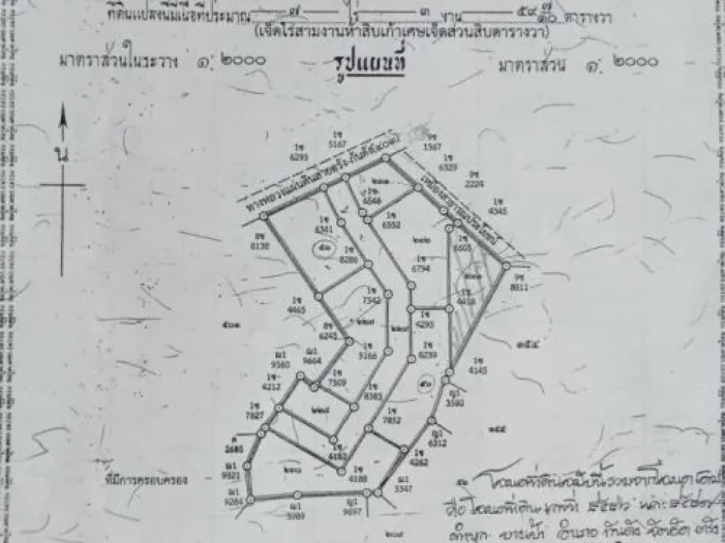 ขายที่ดินเปล่าทำเลดีมากๆ ติดถนนใหญ่น่าลงทุน