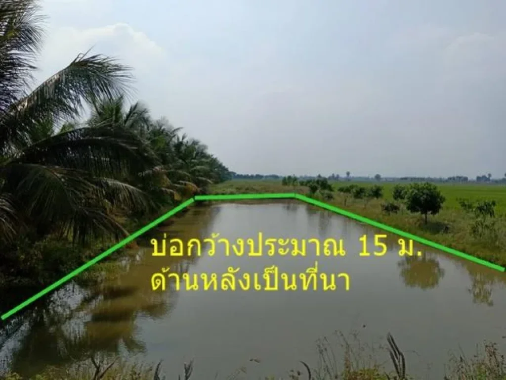 ขายที่ดิน ที่นา ติดถนน เนื้อที่ 7-3-82 ไร่ อลาดหลุมแก้ว จปทุมธานี ตรงข้ามโรงเรียนกันตวรรณ