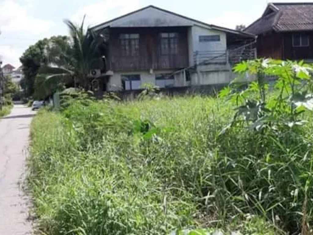 ขายที่ดินหลังขนส่งหนองหอย ติดถนนสองด้าน อำเภอเมืองเชียงใหม่