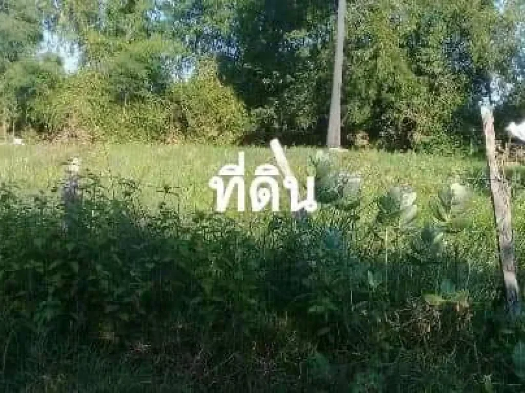 ขายที่ดินเปล่า พร้อมโอน