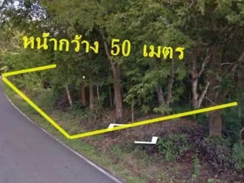 ที่ดินทำเลทอง ตป่าเมี่ยง ดอยสะเก็โ