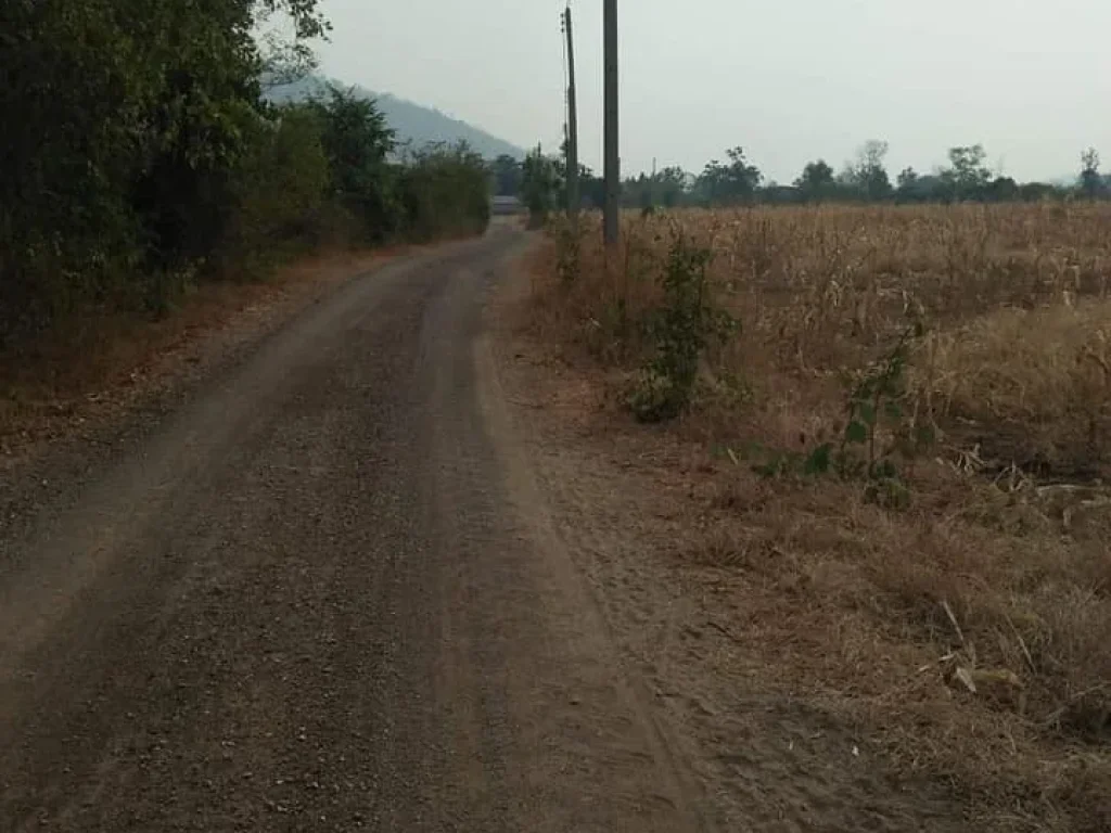 รหัสทรัพย์ 189 ขายด่วน ที่ดิน 5 ไร่ ตดอนคา ออู่ทอง จสุพรรณบุรี