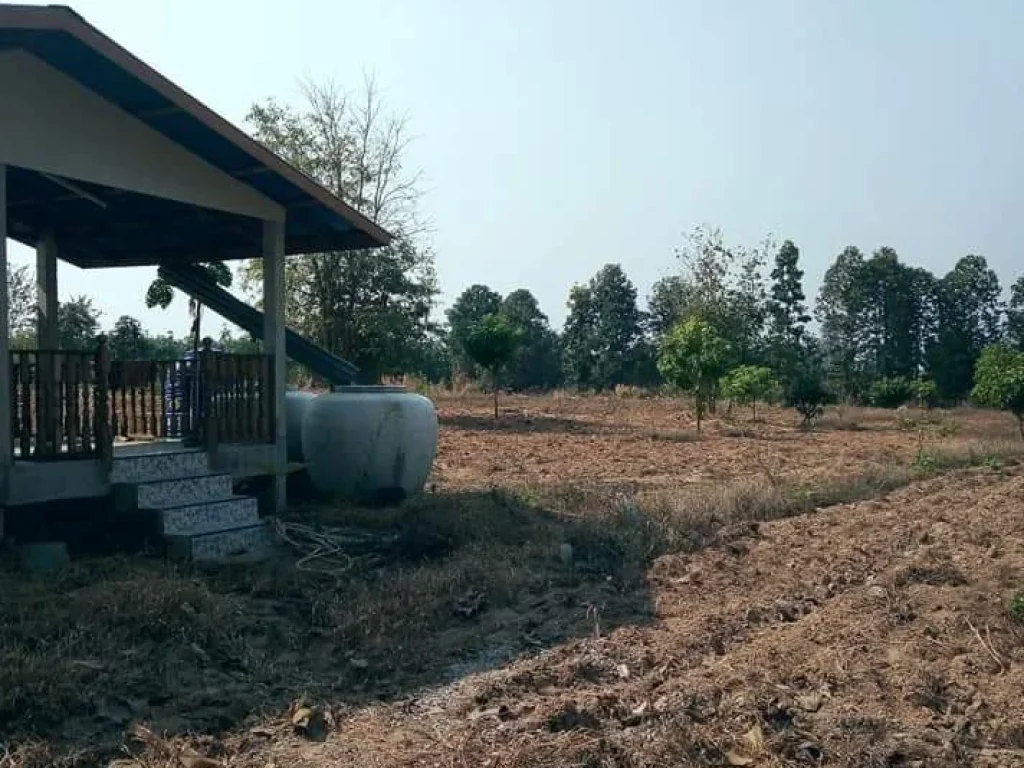 ที่ดิน พร้อมบ้านในสวน ติดถนนลาดยาง อุตรดิตถ์