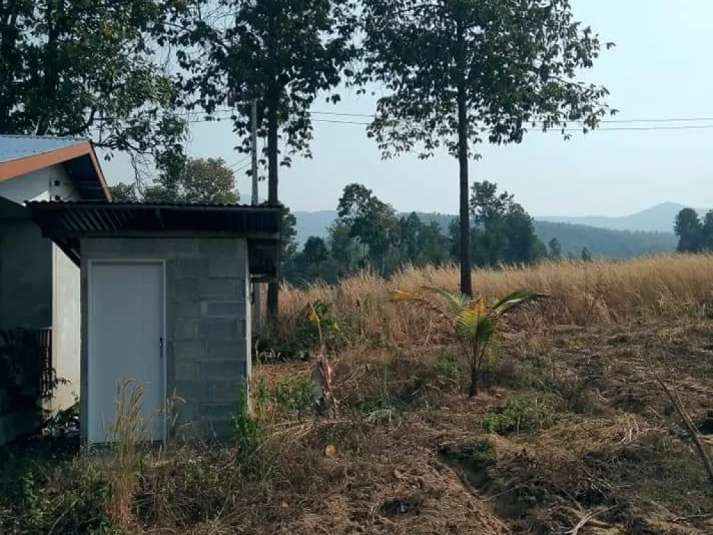 ที่ดิน พร้อมบ้านในสวน ติดถนนลาดยาง อุตรดิตถ์