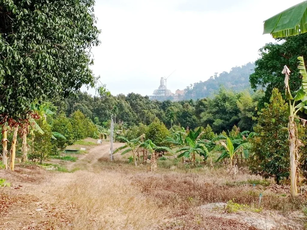 เสนอขายสวนทุเรียนหมอนทองพร้อมบ้านพักอาศัย เนื้อที่ 30 ไร่ พิกัดอยู่ใกล้วัดเขาสุกิม จังหวัดจันทบุรี