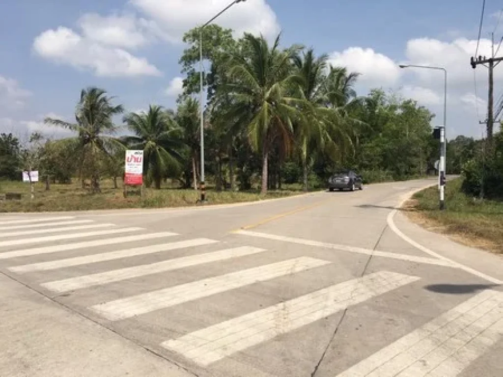 ที่ดิน สุดคุ้ม พิเศษ 10ไร่ ติดถนนอีกด้วย