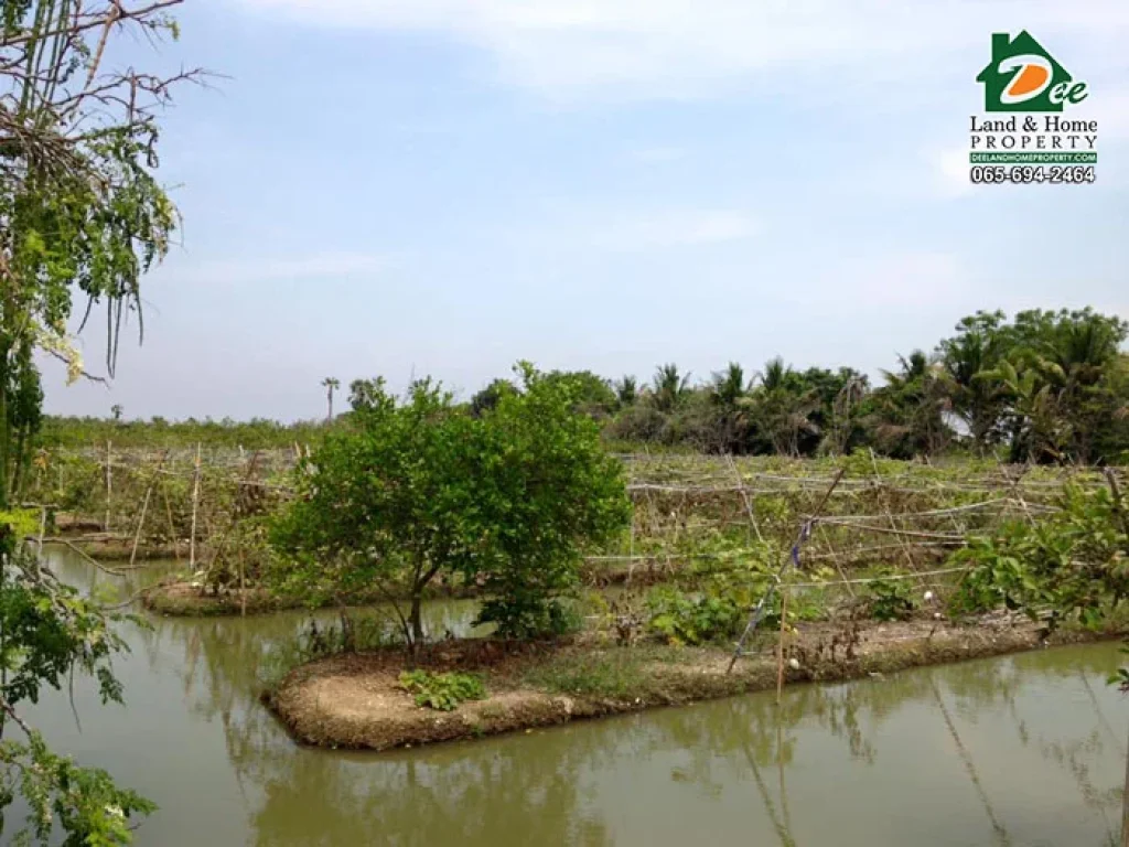 ขายที่ดินพร้อมสวน 10ไร่ ติดถนนติดคลอง บางระกำ นครชัยศรี นครปฐม LA0045