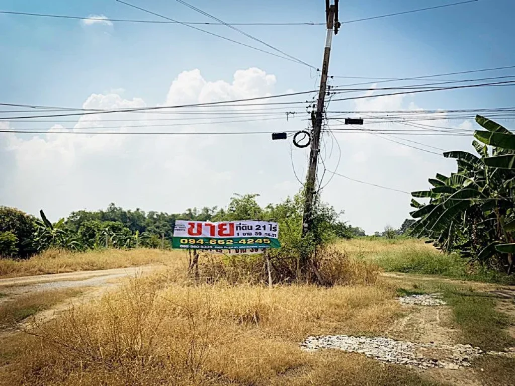 ขายที่ดิน 21 ไร่ 1 งาน 39 ตรวา ติดถนน อบางไทร อยุธยา