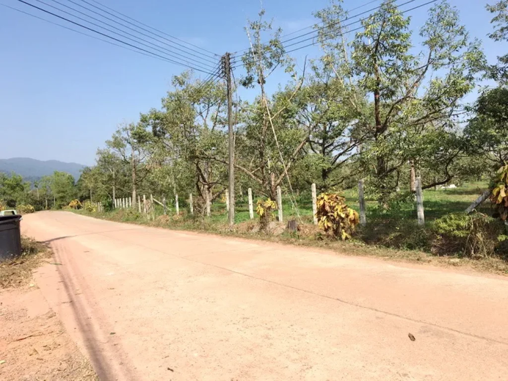 เสนอขายสวนทุเรียน ติดถนนคอนกรีต 25 ไร่ 2 ไร่ อำเภอขลุง จังหวัดจันทบุรี