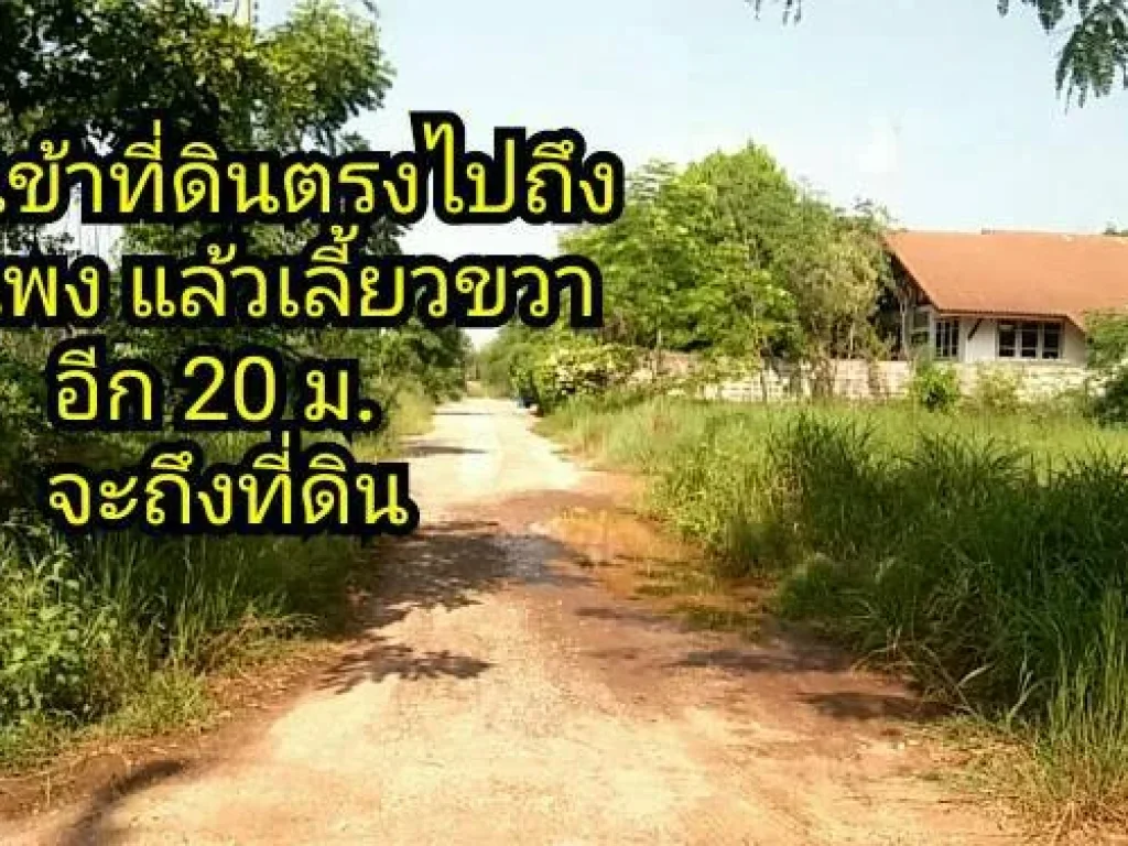 ขายที่ดินจัดสรรสำหรับสร้างบ้าน หรือเก็บใว้ทำกำไร ห่างถนนเลี่ยงเมืองตัดใหม่ เพียง 300 ม ใกล้สี่แยกไฟแดง ตไชยมงคล อเมือง นครราชสีมา