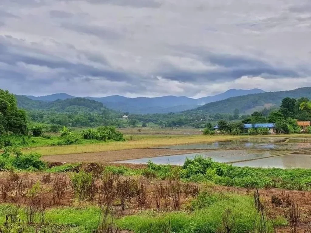 ขายที่ดินห้วยทรายแม่ริม วิวดอย แม่ริม เชียงใหม่