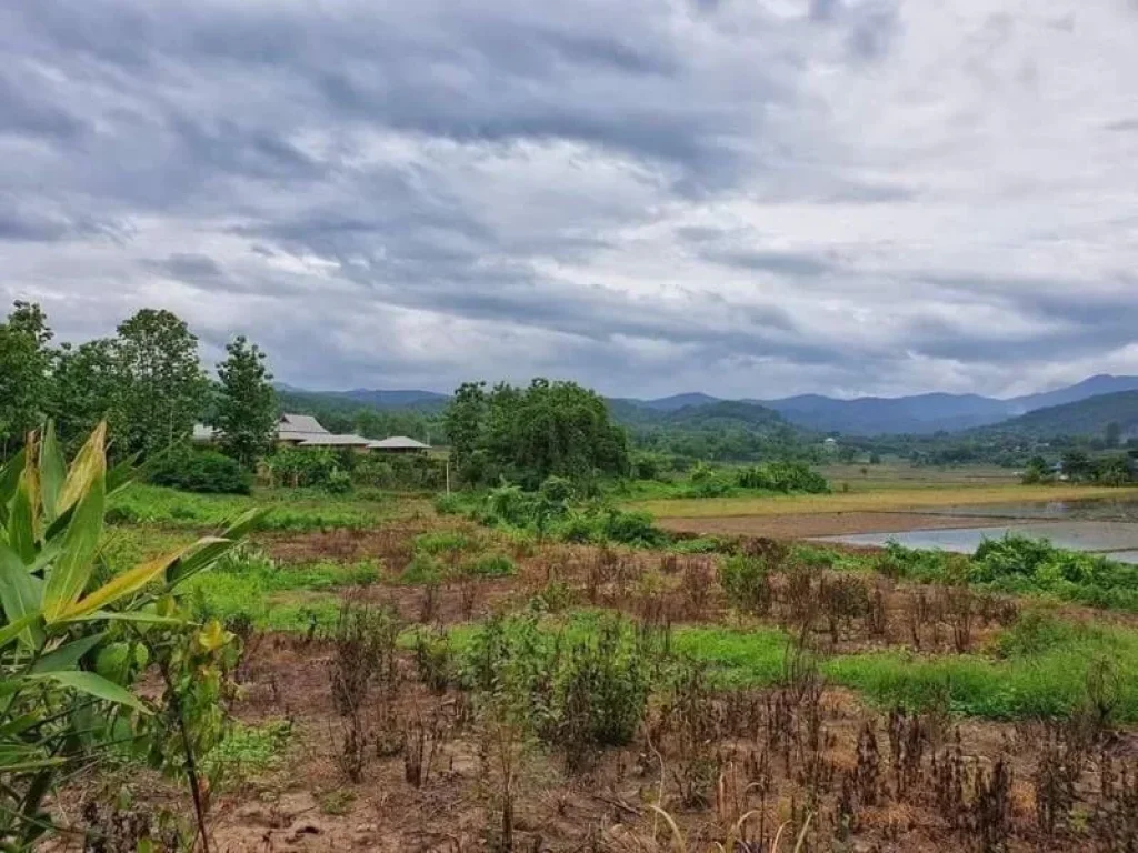 ขายที่ดินห้วยทรายแม่ริม วิวดอย แม่ริม เชียงใหม่