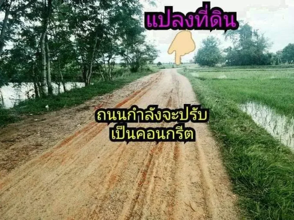 ขายที่ดินแปลงสวย ทำเลดี ดินและน้ำอุดมสมบูรณ์ เหมาะสำหรับสร้างบ้าน ทำไร่นาสวนผสม บรรยากาศดี ใกล้สถานที่ราชการหลายแห่ง