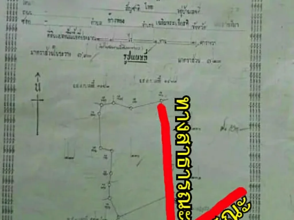 ขายที่ดินแปลงสวย ทำเลดี ดินและน้ำอุดมสมบูรณ์ เหมาะสำหรับสร้างบ้าน ทำไร่นาสวนผสม บรรยากาศดี ใกล้สถานที่ราชการหลายแห่ง