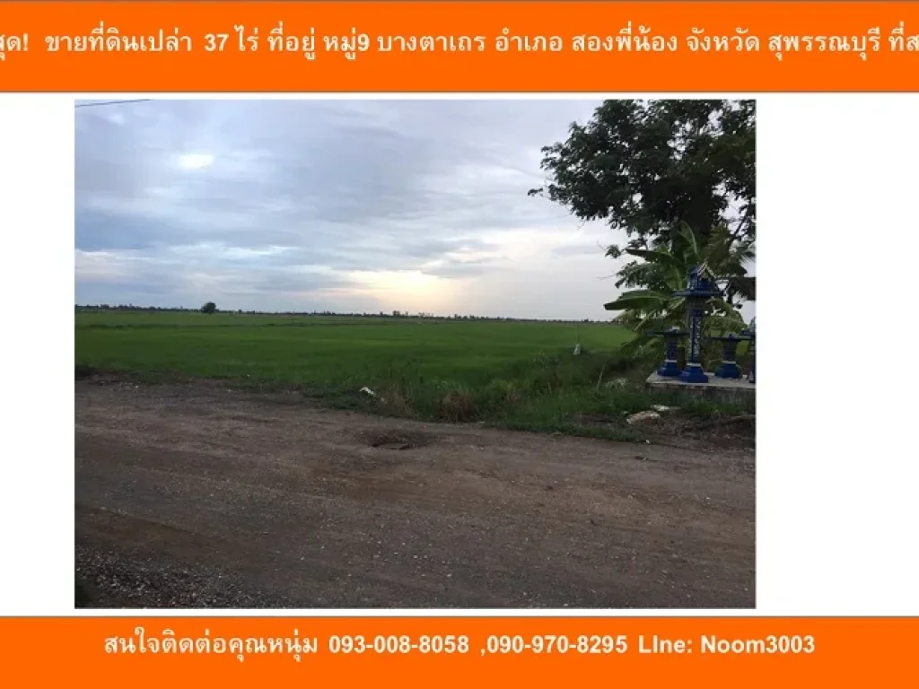 ด่วนที่สุด ขายที่ดินเปล่า 37 ไร่ ที่อยู่ หมู่9 บางตาเถร อำเภอ สองพี่น้อง จังหวัด สุพรรณบุรี ที่สวยจริง