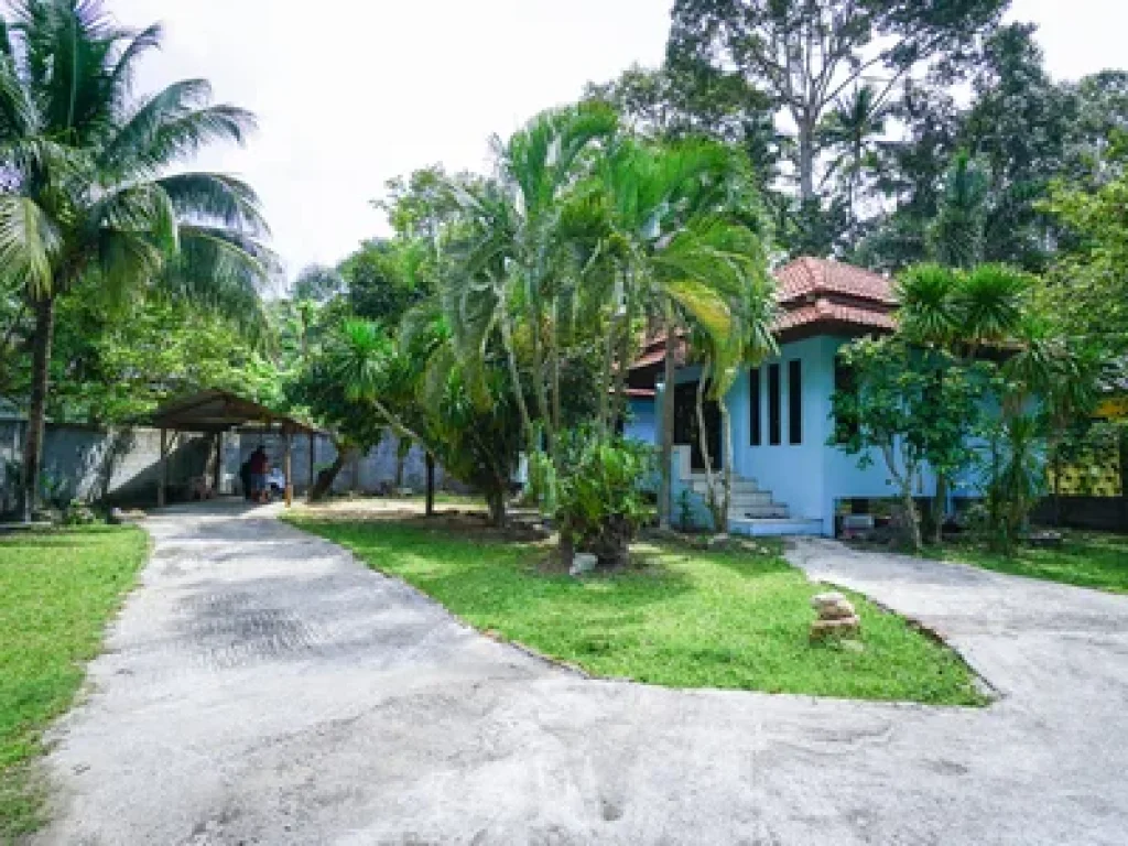 House with Land For Sale 764sqm in Lamai Maret Koh Samui Thailand