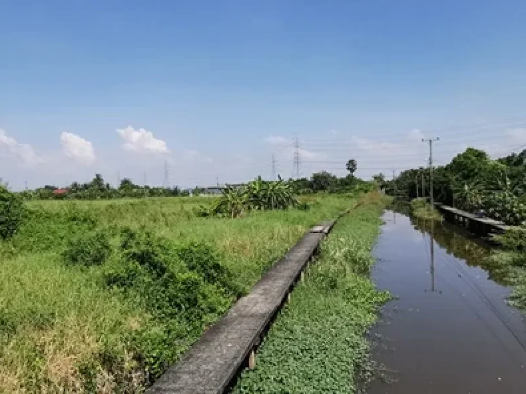 ขายที่ดินติดถนนขุมทอง-ลำต้อยติ่ง 58ไร่ ลาดกระบัง ใกล้สนามบินสุวรรณภูมิ ตรงข้ามมอารียาโคโม่