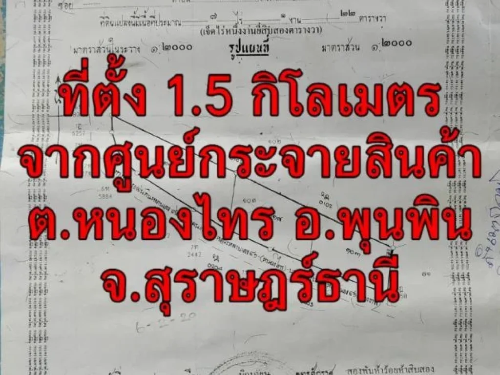 ขายที่ดินโฉนด 2 ไร่ทำเลดี ราคาโดนใจ ตหนองไทร อพูนพิน จสุราษฎร์ธานี