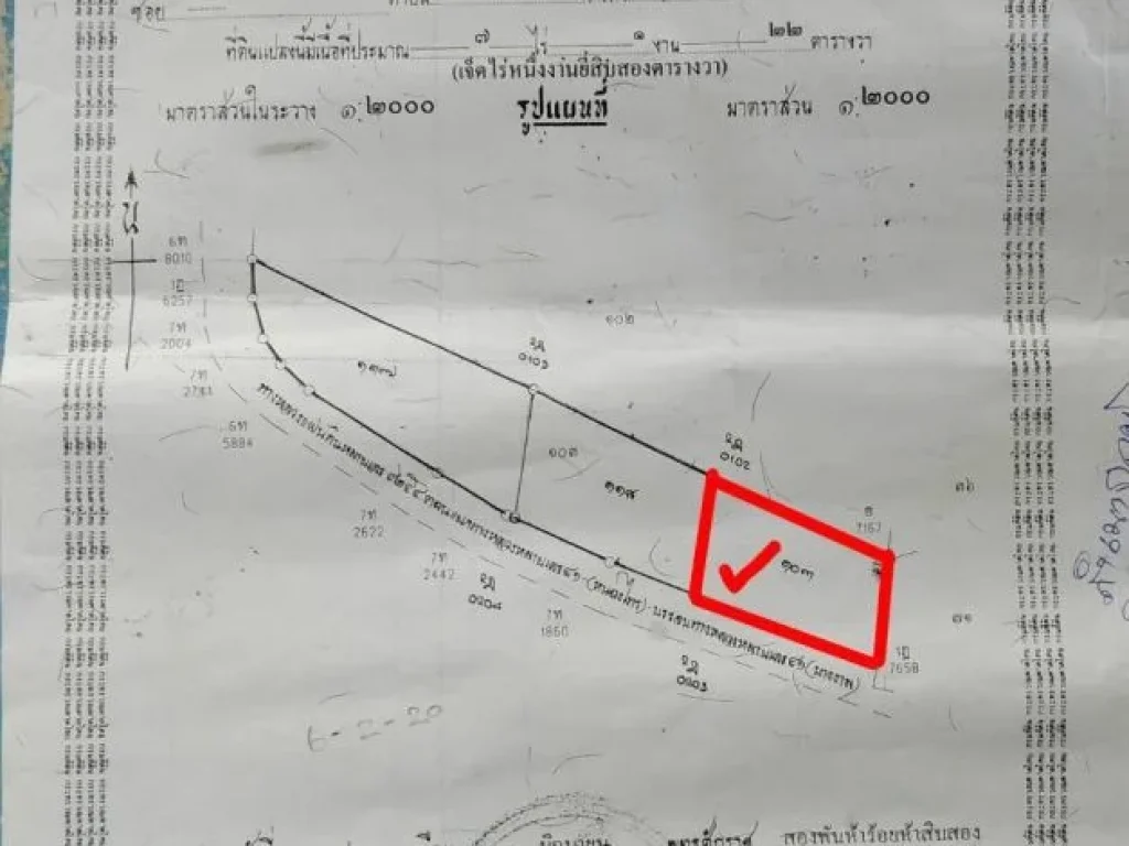 ขายที่ดินโฉนด 2 ไร่ทำเลดี ราคาโดนใจ ตหนองไทร อพูนพิน จสุราษฎร์ธานี