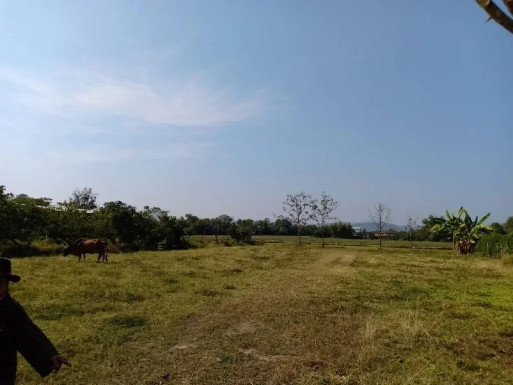 ขายที่ดินใกล้กุลพันธ์ 9 วิวดอย ถนนคอนกรีต หางดงเชียงใหม่