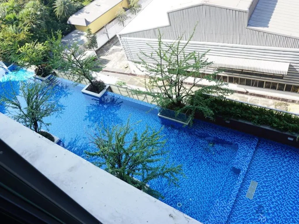 ให้เช่าด่วน Ideo Blucove Sukhumvit ไอดีโอ บลูโคฟ สุขุมวิท 1 ห้องนอน 27 ตรม ราคาเช่า 13000