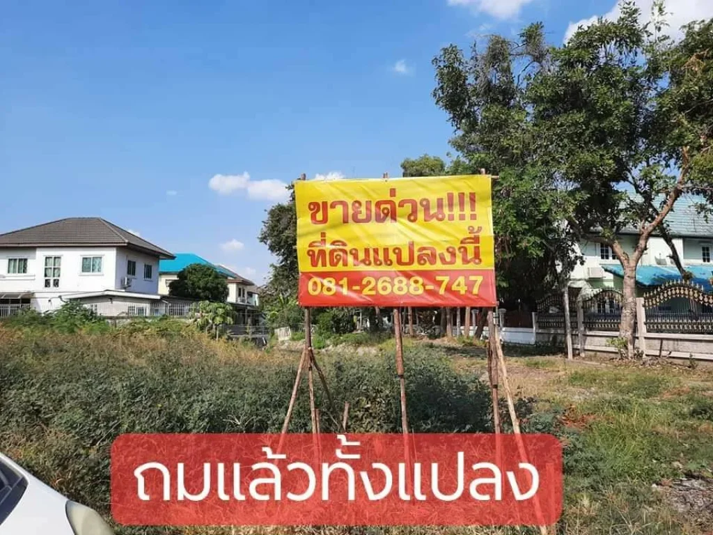 ขายที่ดิน172ตรว แปลงมุม ถมแล้ว