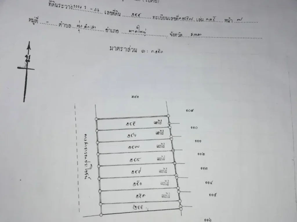 ขายที่ดินจัดสรร ตทุ่งตำเสา อหาดใหญ่ จสงขลา