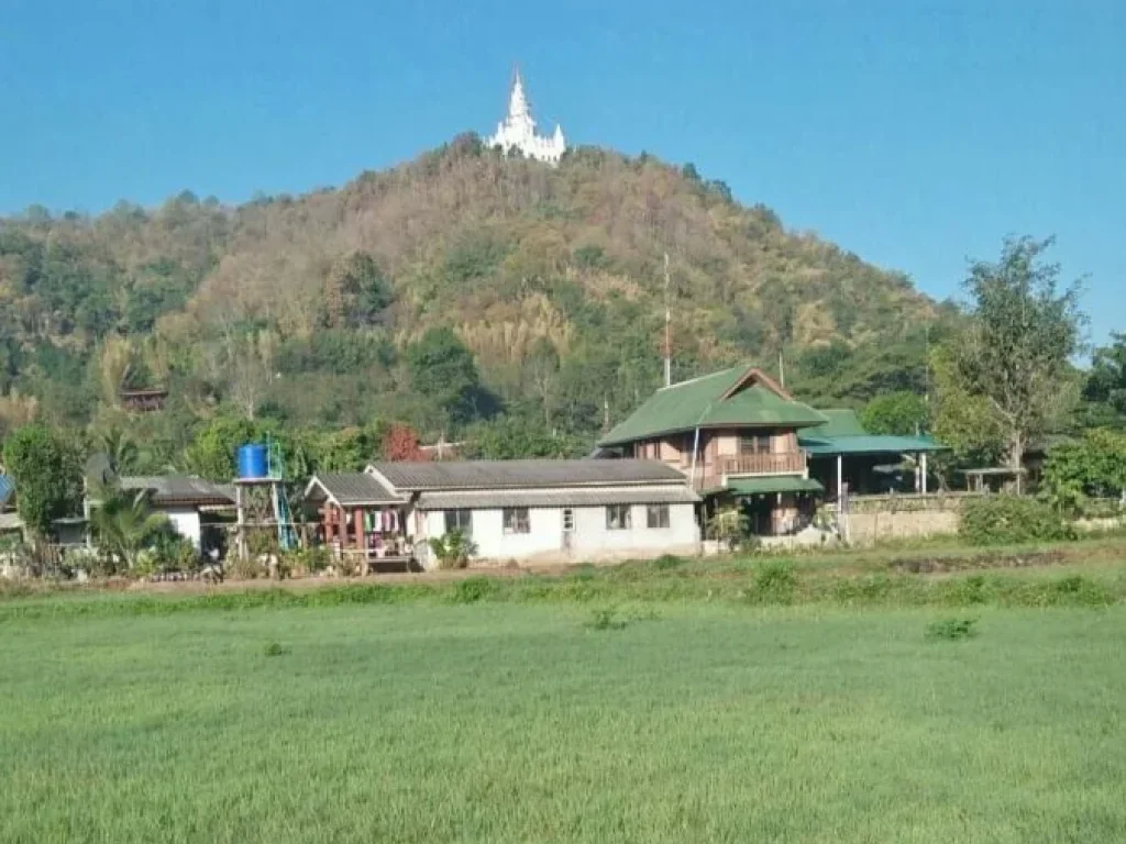 ขายที่ดินสันโป่ง แม่ริมใกล้แก้วสา เชียงใหม่