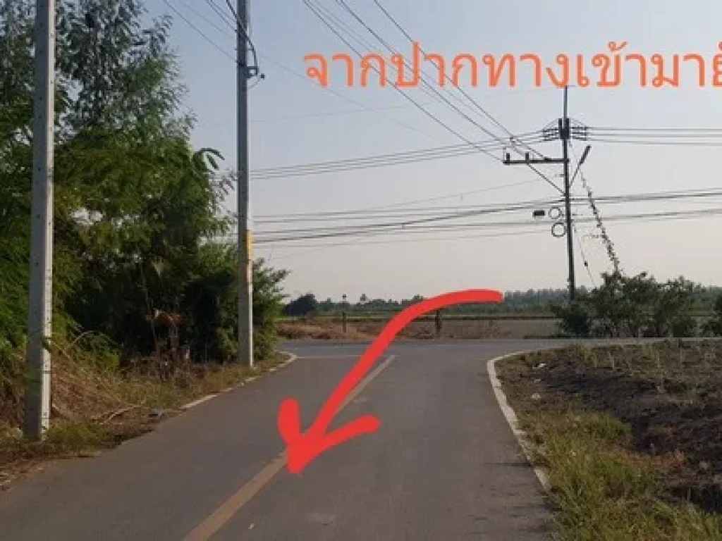 ที่ดินสวย สร้างบ้านดี ถนนดาวทอง นครปฐม แบ่งขาย แปลงละ 100 ตรวราคาต่อรองได้