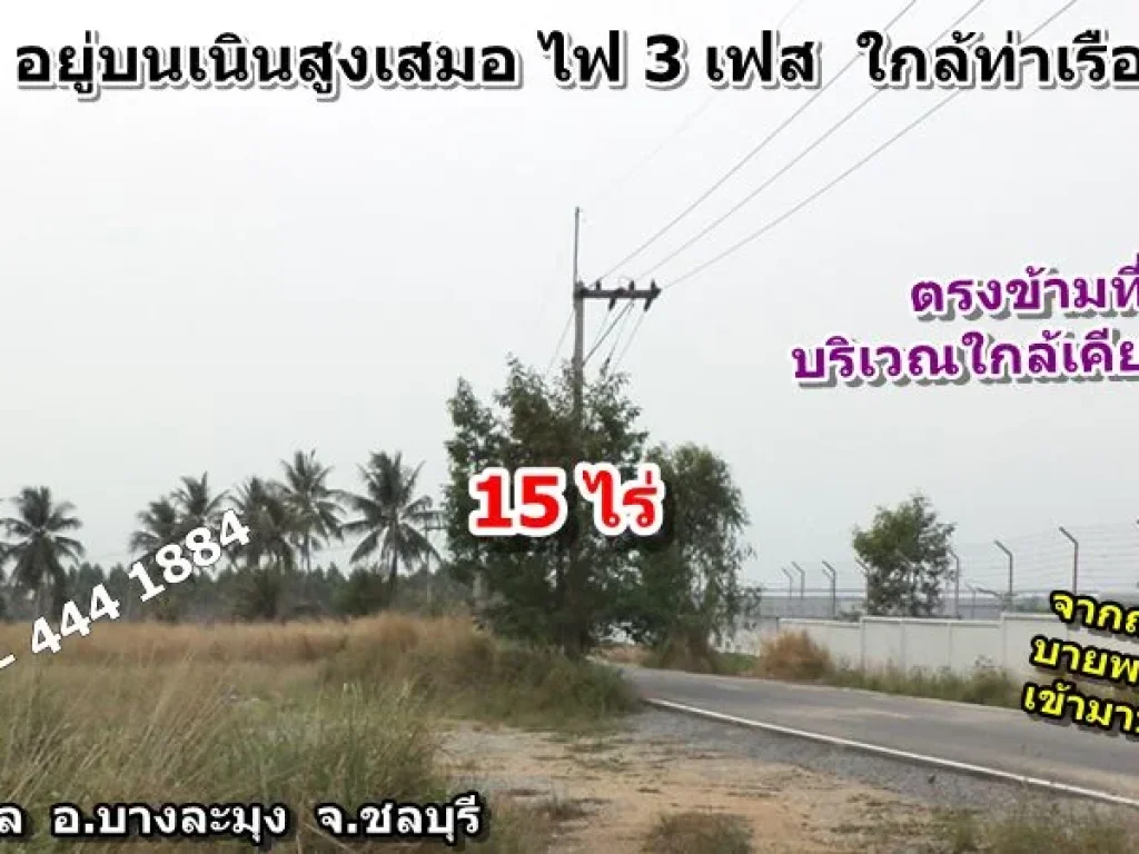 ขายที่ดินใกล้ท่าเรือแหลมฉบัง 15 ไร่