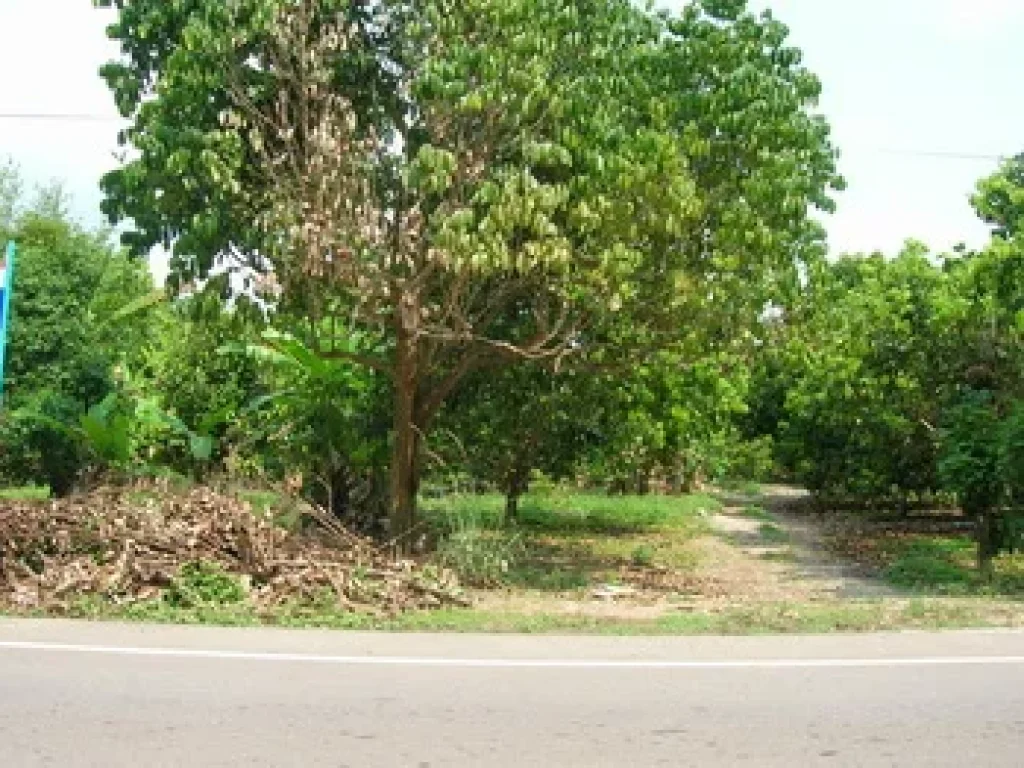 สุขใจที่ได้เก็บกิน ทุเรียน มังคุด ลองกอง