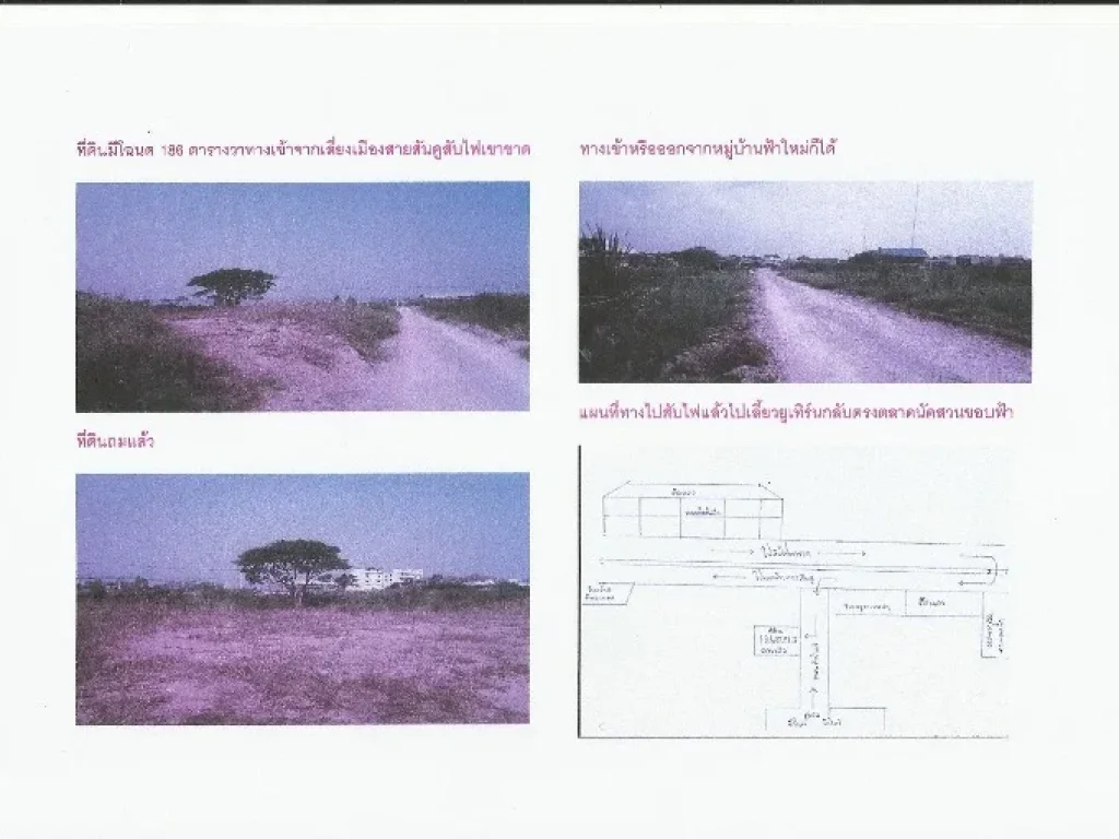 ที่ดิน186 ตารางวา