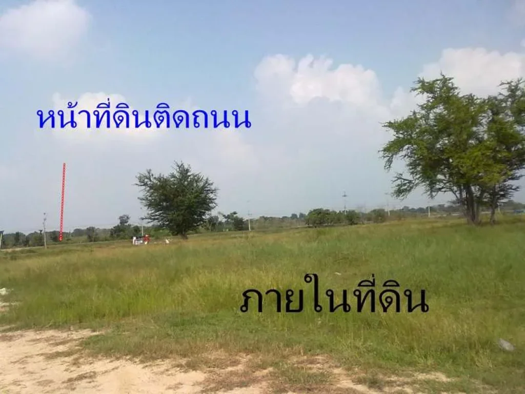 ขายด่วนที่ดิน 207 ไร่ 29 ล้าน อยู่บางไทร อยุธยา