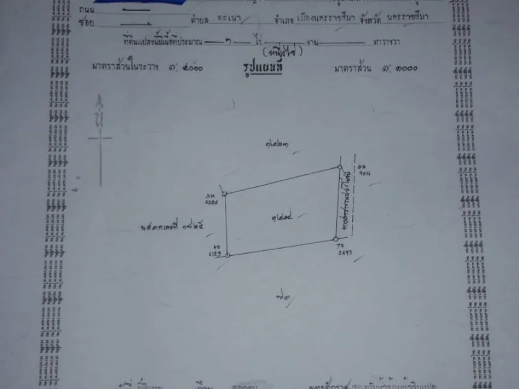 ขายที่ดินโฉนด1ไร่ ติดถนน ซ ห่างถนน226 เพียง10เมตรพิกัดตพะเนา