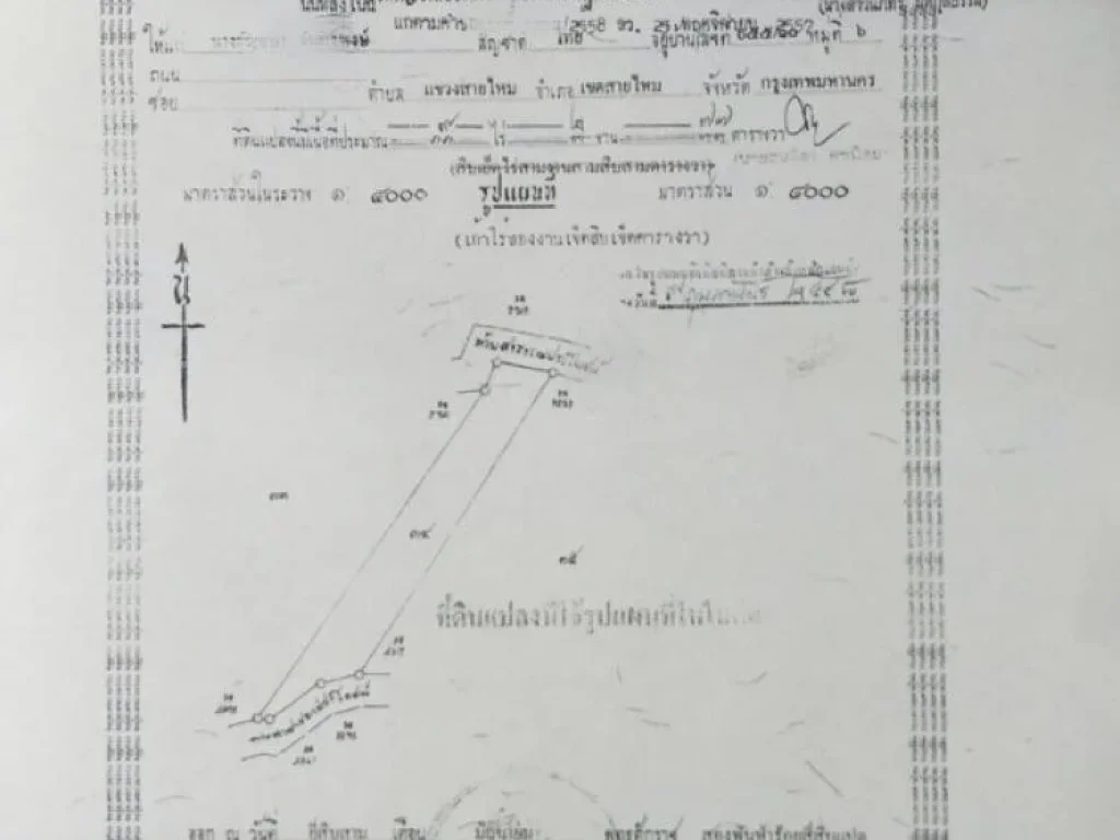 ขายที่ดิน จำนวน 9ไร่