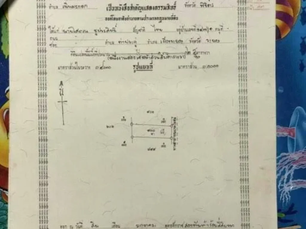 ขายที่ดิน ตเนินมะกอก ม 11 อบางมูลนาก