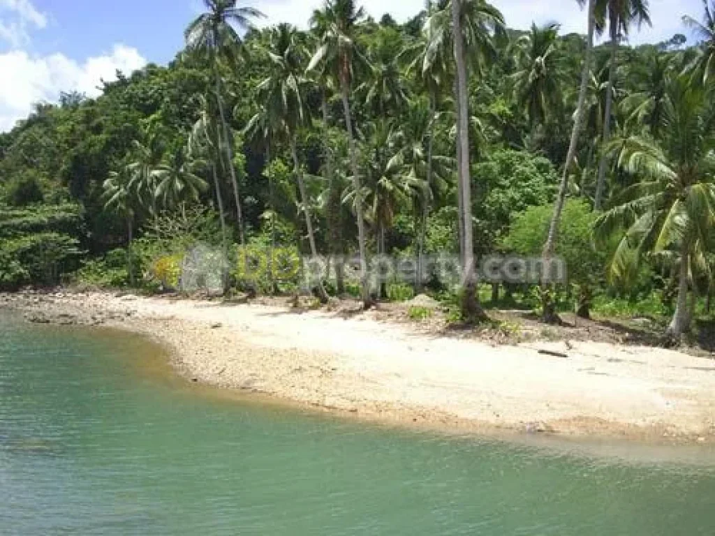 ขายที่ชายหาดส่วนตัว 300ไร่ ราคาถูกที่สุดบนเกาะช้าง