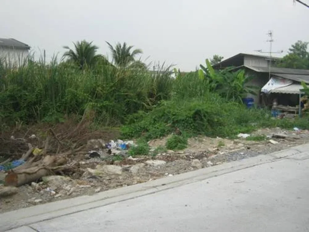 ขายที่ดินซอยลาดพร้าว 101 ซอยผู้ใหญ่ผิน ซอยตรงข้ามหมู่บ้านวาสินี ซอยโรงน้ำแข็ง เนื้อที่ 101 ตารางวา ขาย ตารางวาละ 30000 บาท