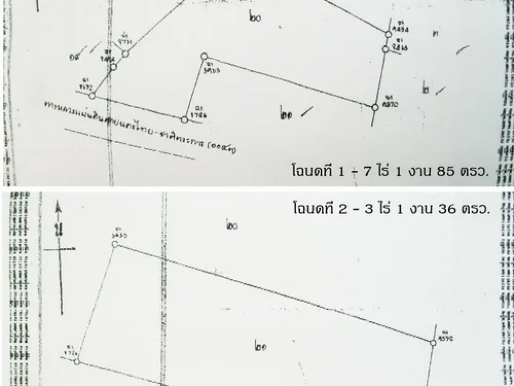 ขายที่ดินเปล่า 10 ไร่ หน้าโรงเรียนบ้านท่าสะแก พิษณุโลก