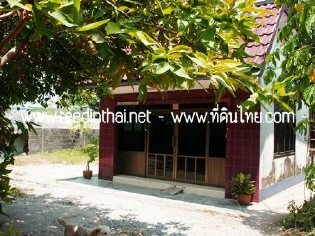 ที่ดินพร้อมบ้านท่าช้าง-ที่ดินไทย 200 ตรว เอกสาร สค1 ตท่าช้าง อเมือง จจันทบุรี รหัส1413