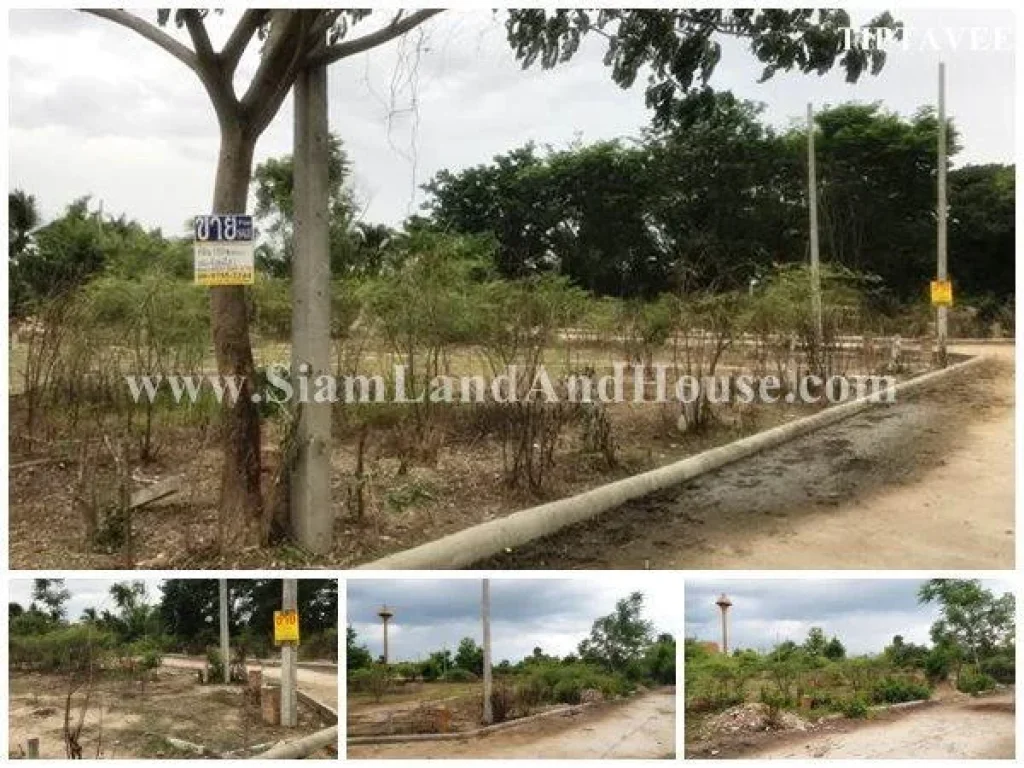 22416 ขายที่ดินเชียงใหม่ บ้านสราญรมย์วิวดอย สันป่าตอง Sale Land on YuWa Sanpatong Chiangmai THAILAND