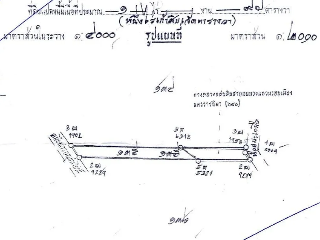 ขายที่ดินสูงเินิน 3 งาน ขายทั้งแปลง 950000 บาท