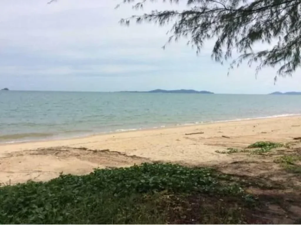 ขายที่ดินติดทะเล มีชายหาดส่วนตัว โฉนด 6 ไร่ หาดแม่พิมพ์