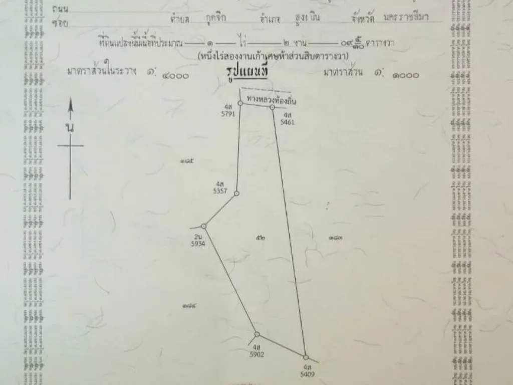 ที่ดินติดถนนคอนกรีต หลังอำเภอเฉลิมพระเกียรติ 1-2-9 ไร่ 95 แสน