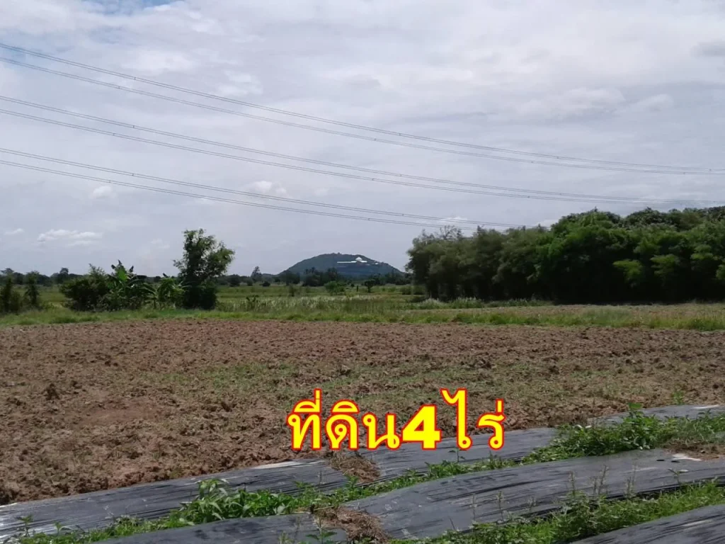 ขายที่ดิน4ไร่ บ้านห้วยจำปา ใกล้คลองชลประทานใหญ่ เหมาะอยุ่อาศัยและทำเกษตรพอเพียง บรรยากาสดีวิวท้องนาและภูเขา ไร่ละ400000