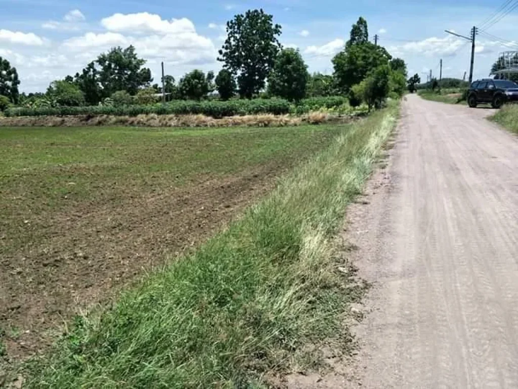 ที่ดินโฉนด ติดทางติดไฟจำนวน 8-1-38 ไร่ ตคลองเกตุ อโคกสำโรง จลพบุรี